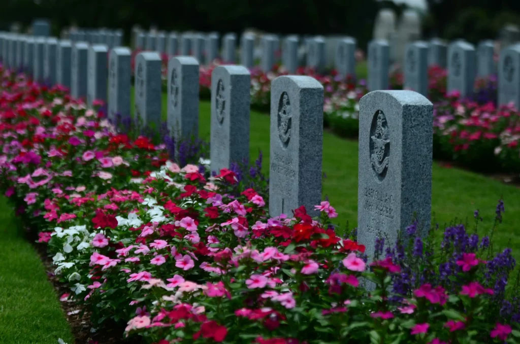 Alignement de stèles militaires en pierre bordées de fleurs roses et violacées.